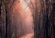 九游体育网页版登录入口-摩尔多瓦女足遗憾出局，未能晋级，摩尔多瓦足球水平怎么样