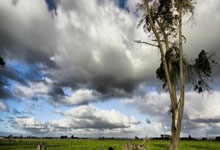 九游体育官方入口-丹麦门将表现抢眼获得技术统计第一，丹麦队著名守门员