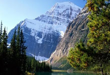 九游体育官方入口-丹麦门将表现抢眼获得技术统计第一，丹麦队著名守门员