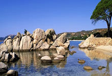 九游体育官方入口-丹麦门将表现抢眼获得技术统计第一，丹麦队著名守门员