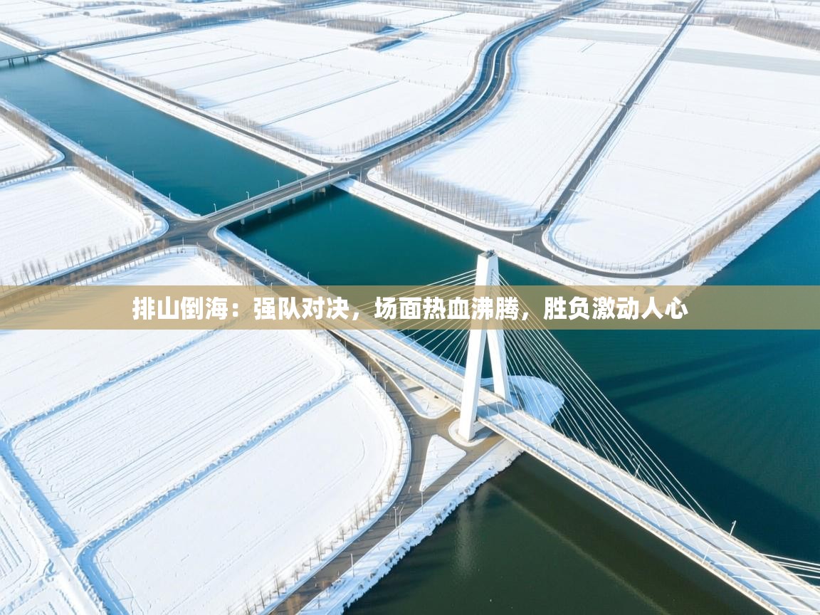 排山倒海：强队对决，场面热血沸腾，胜负激动人心  第1张